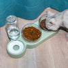 Pet Automatic Double Feeder Bowl