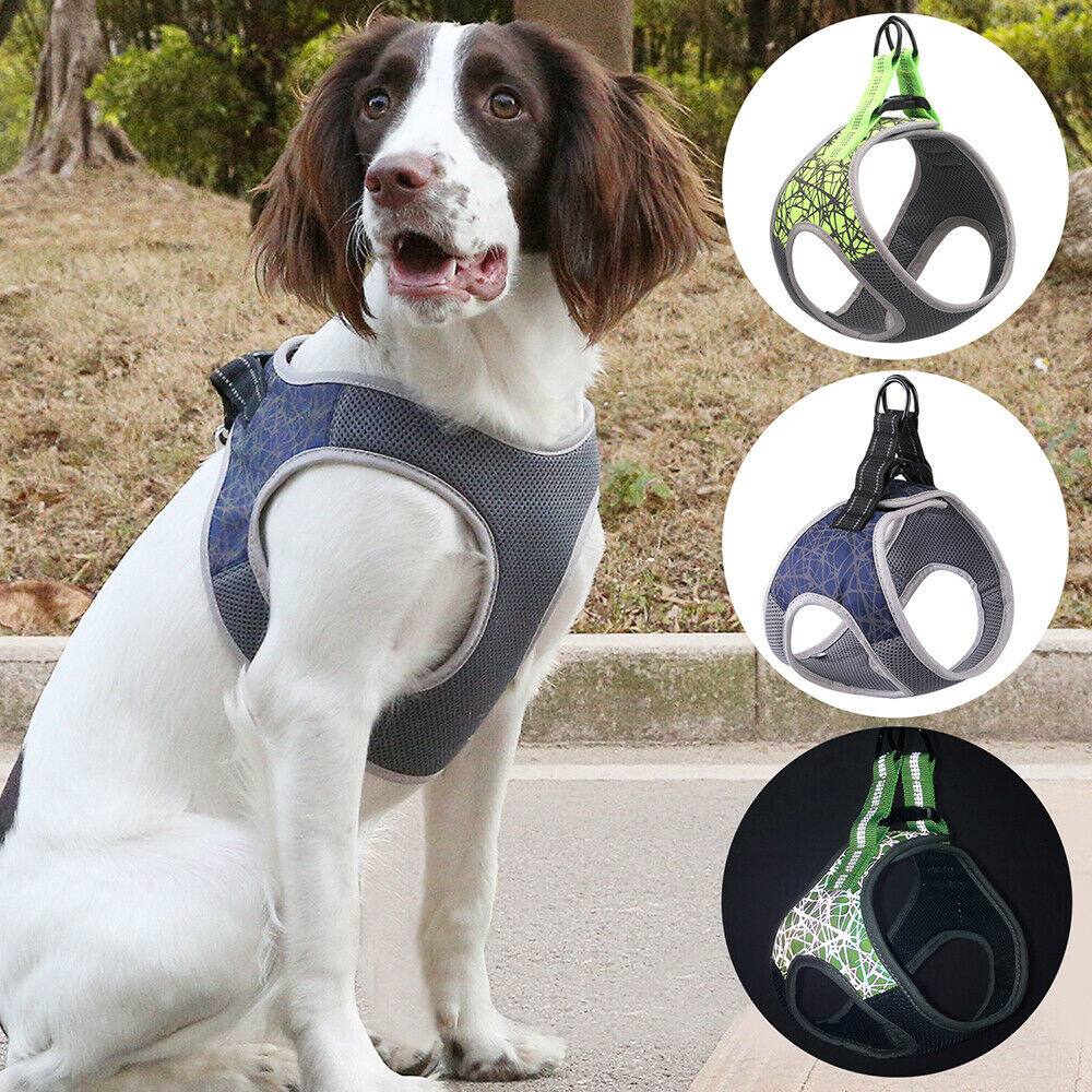 Dog leash vest