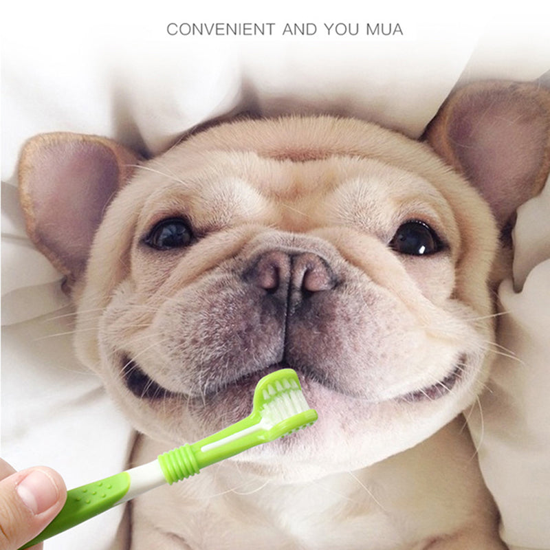 Pet Three-Sided Toothbrush Plus Finger Silicone Toothbrush