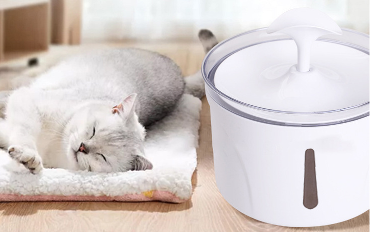 Pet Automatic Water Dispenser