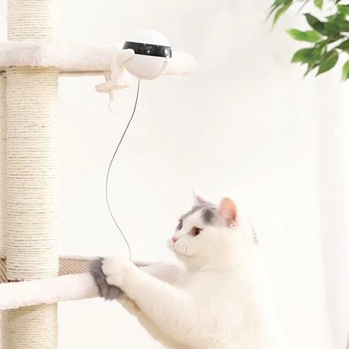 Pet Automatic Lifting Motion Toy for Cats